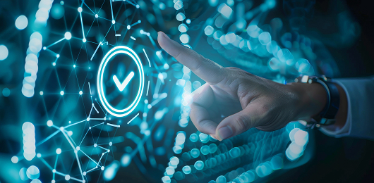 risk-management-system